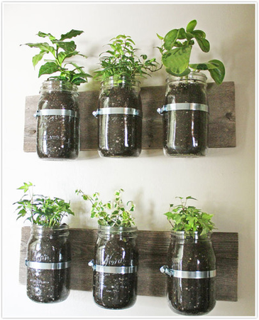 Indoor Herb Garden Kits | A Listly List