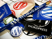 Useful Plugins For WordPress Beginners