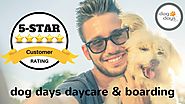 St Paul Dog Daycare & Boarding Incredible 5 Star Review