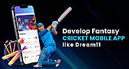 Develop a Fantasy Cricket Mobile App like Dream11?