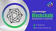 Top 10 Hyperledger Blockchain Development Companies in 2024