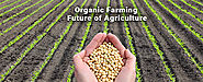 Organic Farming: Future of Agriculture