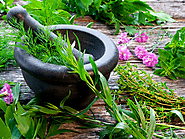 Bulk Herb Suppliers | Organic Herbs Manufacturers & Exporters