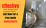 All About Water Damaged Carpet Restoration