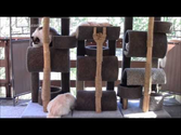 How To Build a Six Foot Cat Tree.