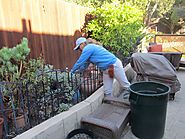 How can gardening services help you? – Santa Barbara County Landscape Maintenance Company