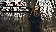 The Truth of Dead Wooding Service That You Need to Know Today