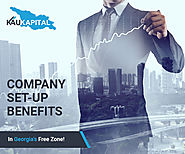 Why Should You Set Up A Company In A Free Zone In Georgia?