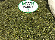 Buy Wholesale hemp biomass for sale