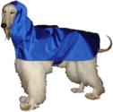 Best Rated Raincoats for Large Dogs 2014