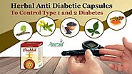 How to Control Type 1, 2 Diabetes, Best Herbal Anti Diabetic Capsules?