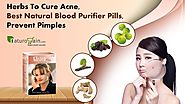 Herbs to Cure Acne, Best Natural Blood Purifier Pills, Prevent Pimples