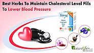 Best Herbs to Maintain Cholesterol Level Pills to Lower Blood Pressure