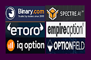 Auto Binary Options Trading Software for Windows | Business Meg