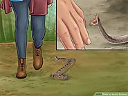 7 Ways to Avoid Snakes - wikiHow
