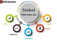 Website at https://www.b2bscorpion.com/siebel-crm-users-list