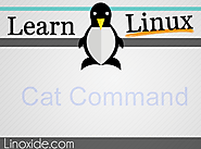 20 Linux Cat Command Examples for File Management