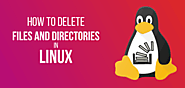 How to Delete Files and Directories in Linux
