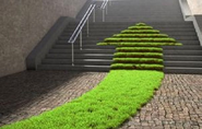 Room to Grow: A Look at the Changing Landscape of Green Startups
