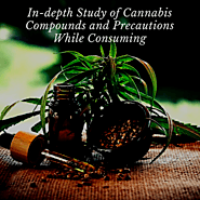 In-depth Study of Cannabis Compounds and Precautions While Consuming