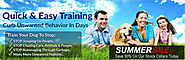 AlphaDog Remote Dog Training Collars – Best Remote Dog Shock Training Collars