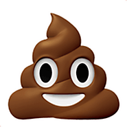 9. Smiley Poo Emoji