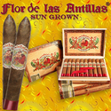 Why Cigar Lovers Choose Flor de las Antillas cigar?