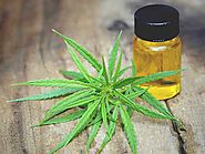 How CBD Oil Is Beneficial To Cancer Patients?