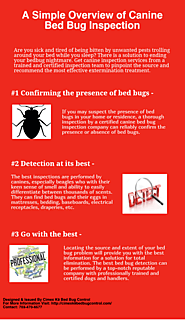 A Simple Overview of Canine Bed Bug Inspection