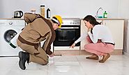 Should Know About Pest Control Cleaning: