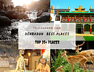 Website at https://www.trip2adore.com/best-places-to-visit-in-dehradun-city/