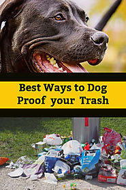 Outside Trash Can Storage Ideas – Animal Proof Garbage Cans – Home Organizing Tips, Home Decor and Gifts