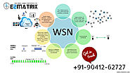 Wireless Sensor Network (WSN) thesis topics help and Research Guidance - E2MATRIX RESEARCH LAB