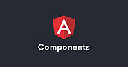 Getting Started with Angular Component - positronX.io