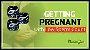 Low Sperm Count and Motility, Male Fertility Tips Get Pregnant