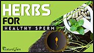 Top 5 Herbs To Increase Sperm Count, Fertility, Motility And Volume