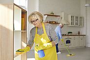 Elderly Independence Through Homemaker Services