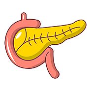 Pancreatic surgery - Gastro Surgeon Kochi | Gastroenterologist In Kerala