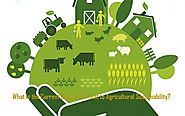 Agricultural Sustainability