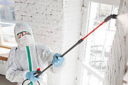 Things you should Know About Mold Removal in Savannah