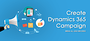 Create campaigns endowed with beauty with Dynamics 365 to break all your lead conversion records!
