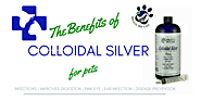 Benefits of Colloidal Silver for Pets