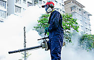 Pest Control Services in Vadodara