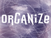 Collect - Organize