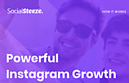 Social Steeze Review - an Organic Instagram Growth Service