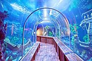 Aquamundo Aquarium | International Concept Management
