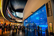 Dubai Mall Aquarium | In-Wall Tunnel Aquarium by ICM