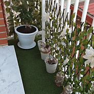 Artificial grass landscaping ideas by professional landscaper