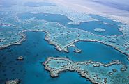 Top Great Barrier Reef Day Tours & Cruises From Cairns | Best Deals & Offers
