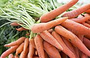 The Ultimate Guide for Carrot farming (2018) - Agricultureguruji